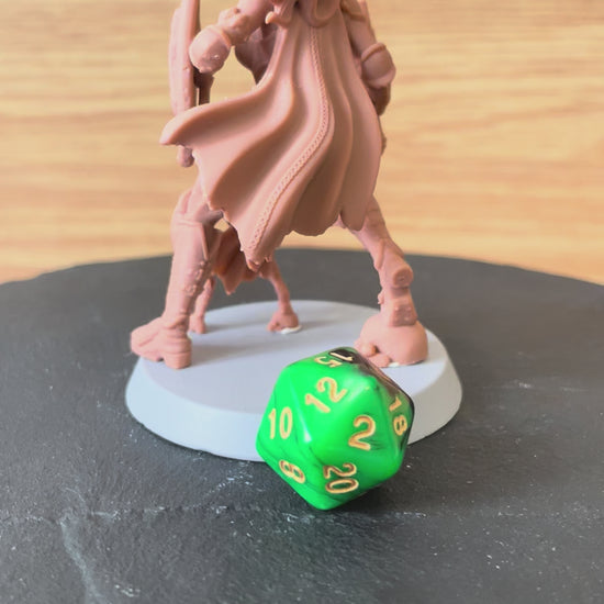 Solenne painted paladin miniature 75mm by Black Bird Miniatures