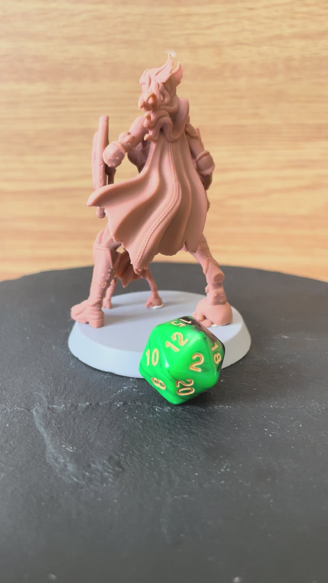 Solenne painted paladin miniature 75mm by Black Bird Miniatures