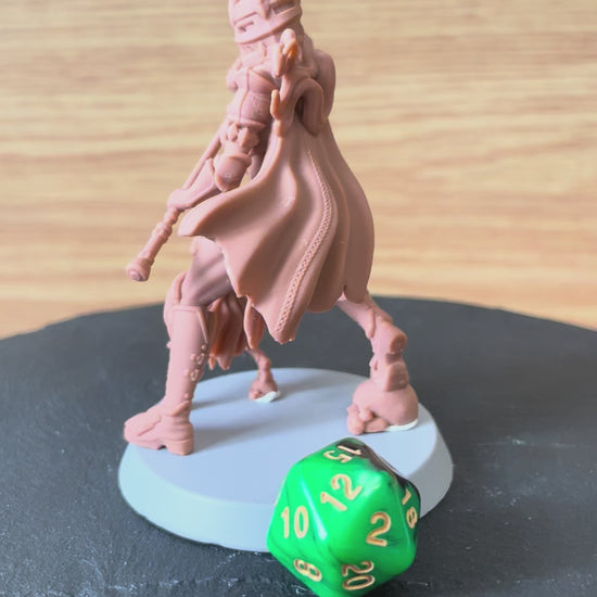 Solenne painted paladin miniature 75mm by Black Bird Miniatures